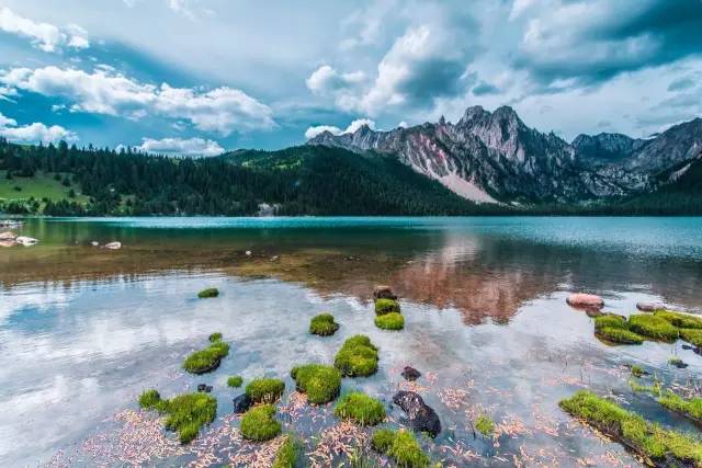 小核桃上市了,走吧,一起去探索自然美景!