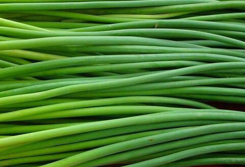 最新蒜薹市场价格🍃🌱