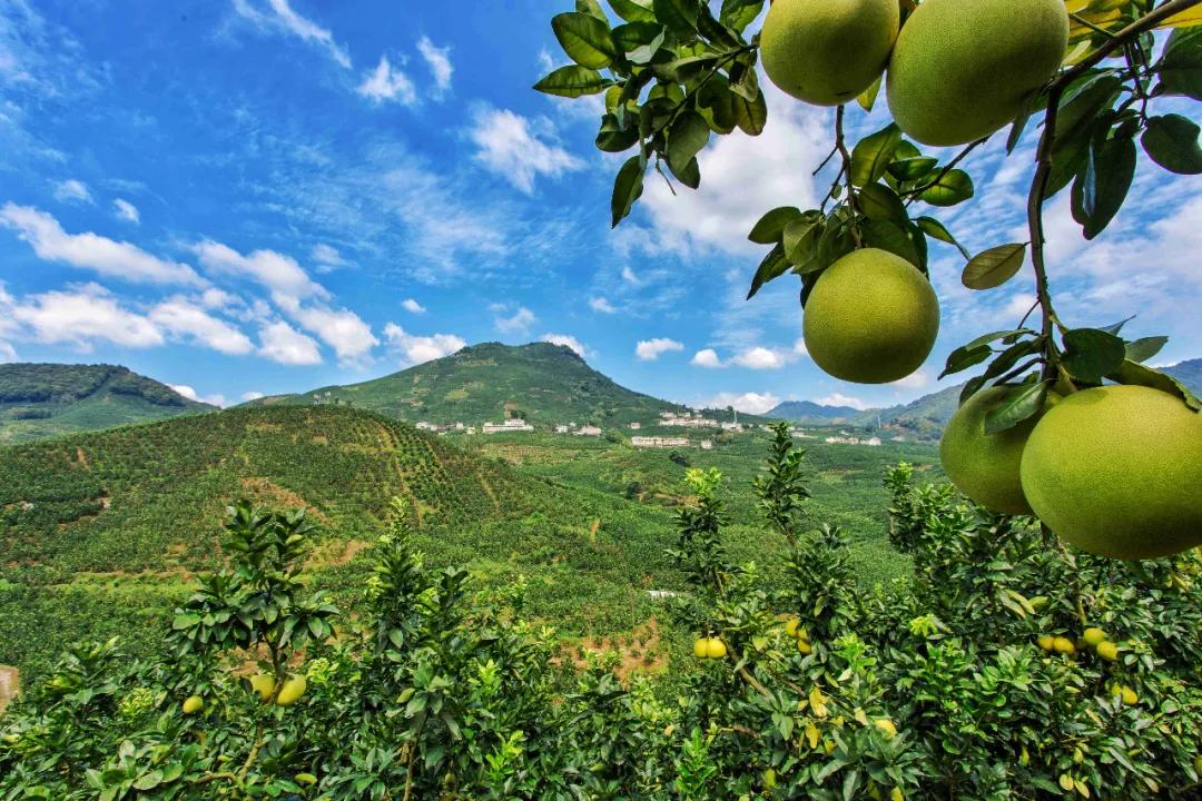 明星代言成功案例,探索自然美景之旅,寻找内心的平和之地