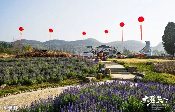 茌平新盘信息,一场自然美景的探索之旅