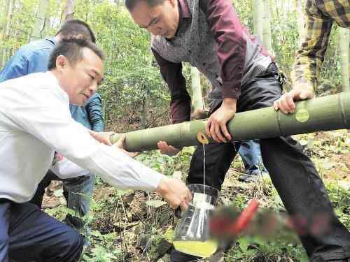 白酒价格查询网,一场寻找内心平静的白酒与自然美景之旅