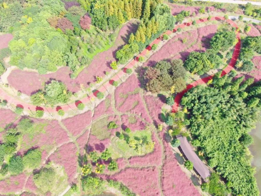 最新党书精选,一场自然美景的探索之旅