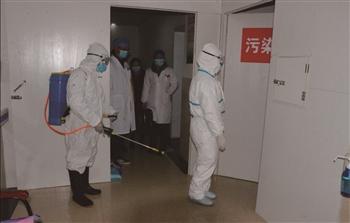 最新肺炎病例更新,变化中的学习,信心与成就的力量