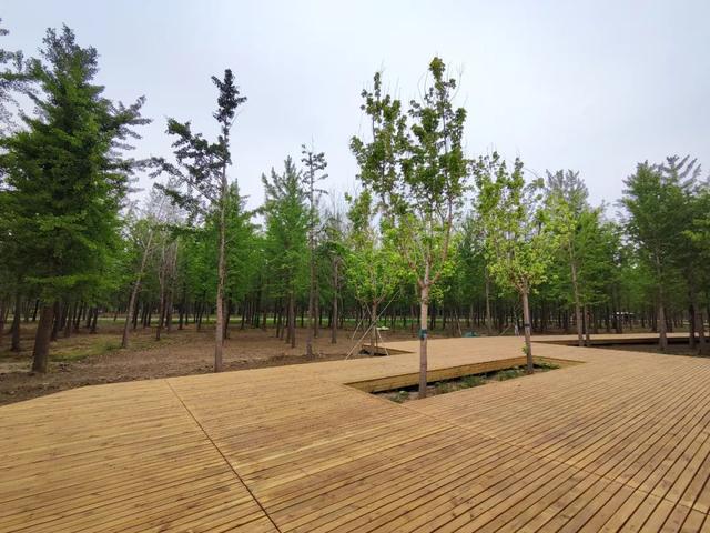 青面獠牙 第2页