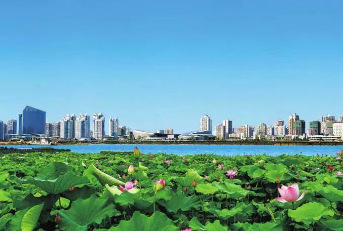 顺义河东新区最新规划发布,一场自然美景的探索之旅