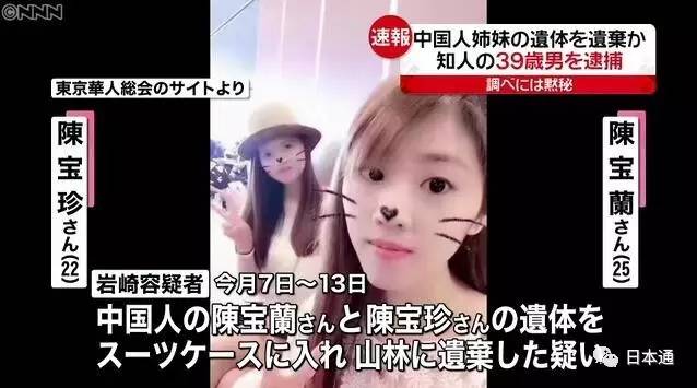 中国姐妹在日本遇害事件最新进展,变化中的力量与希望之光