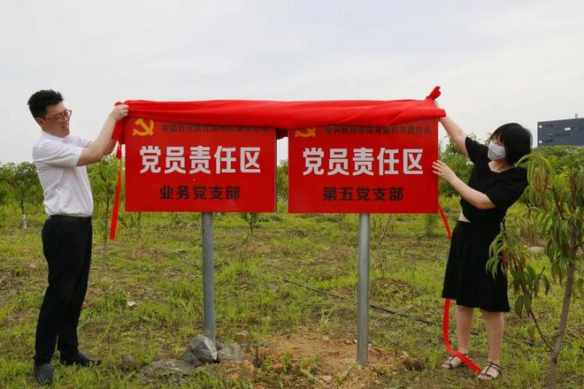 临西厂子最新招聘资讯,小巷中的隐藏宝藏,等你来探索!