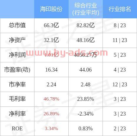 海虹控股股票,时代的印记与领域的领航者