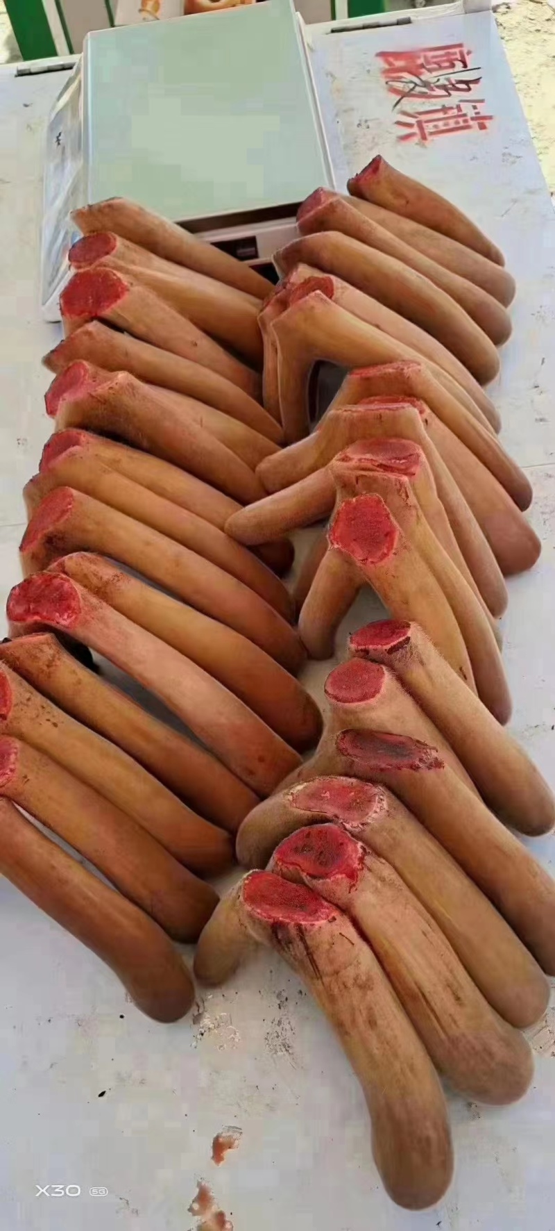 鹿茸二杠价格,了解鹿茸市场,洞悉二杠鹿茸价格走势