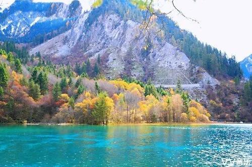 美工薪版最新发布,一场探索自然美景的轻松之旅