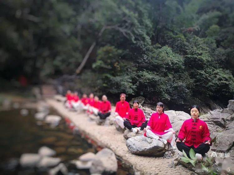 最新鸭子售价,一场与自然美景共舞的心灵之旅