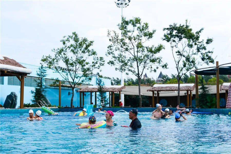 最新动态96,温馨日常的欢乐时光