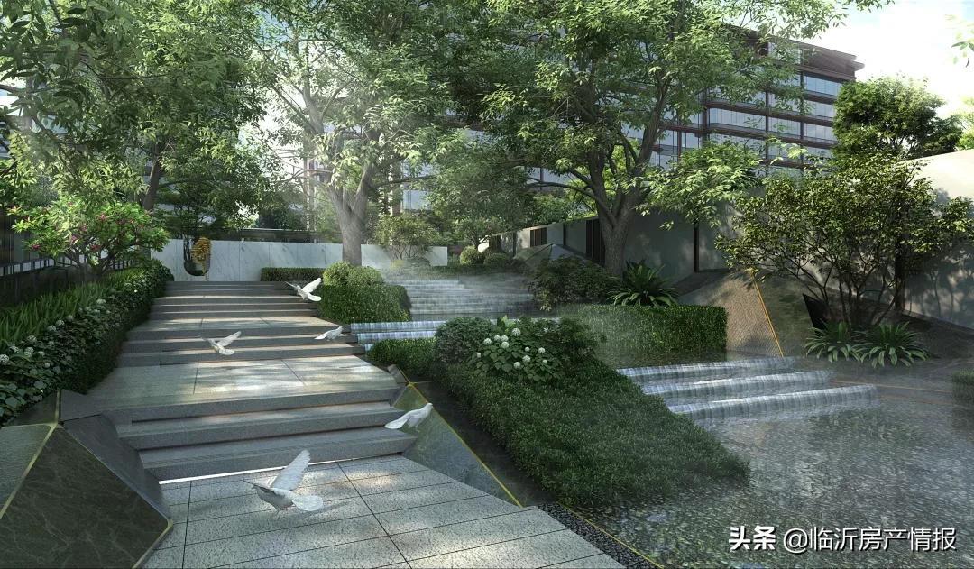 上海入境最新动态,归家的奇遇与重逢的喜悦