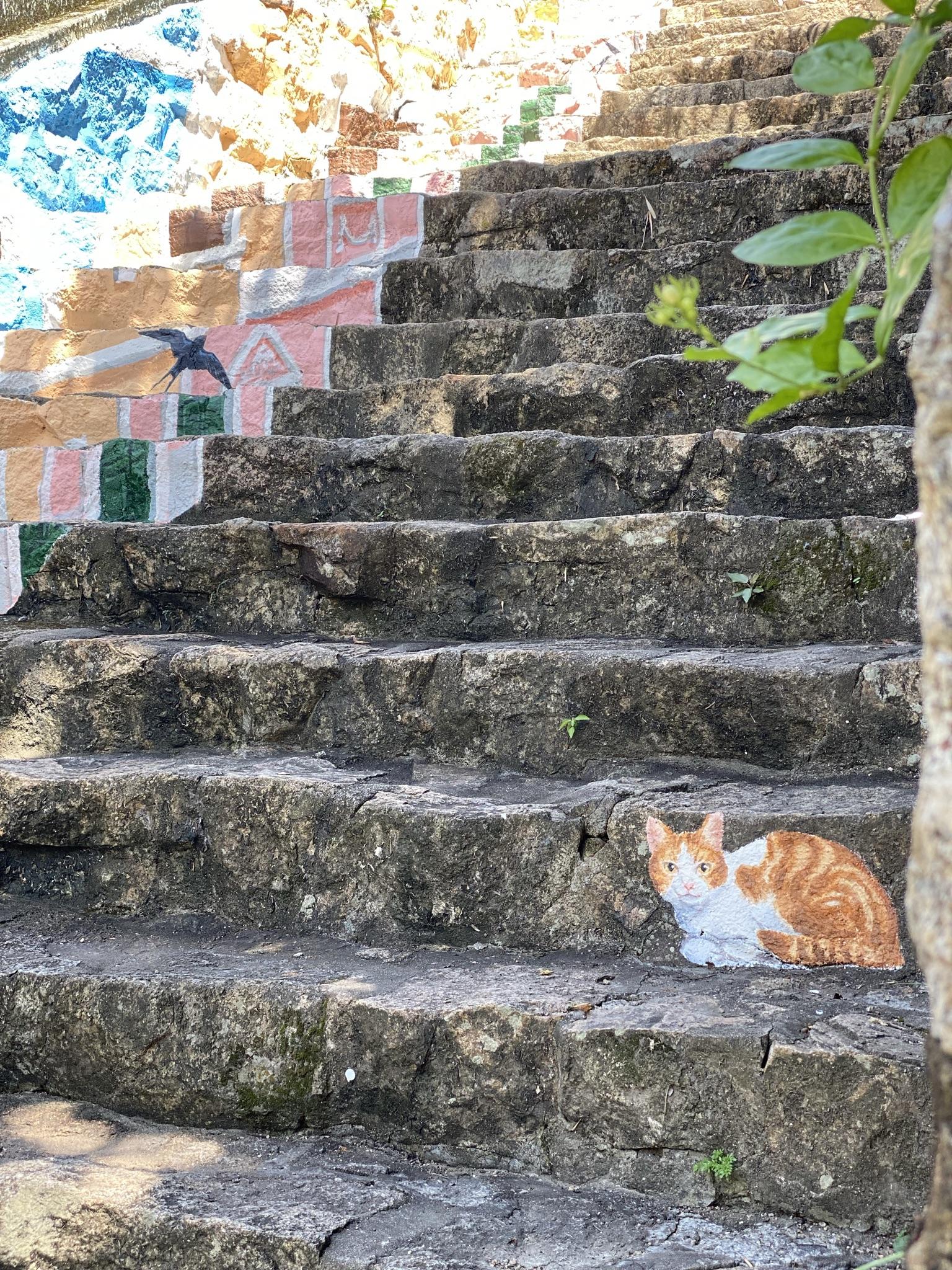 蜂鸟电视剧全集,一场自然美景的心灵之旅