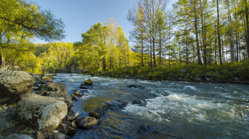 伏天氏Sodu最新版,探索自然美景的轻松之旅