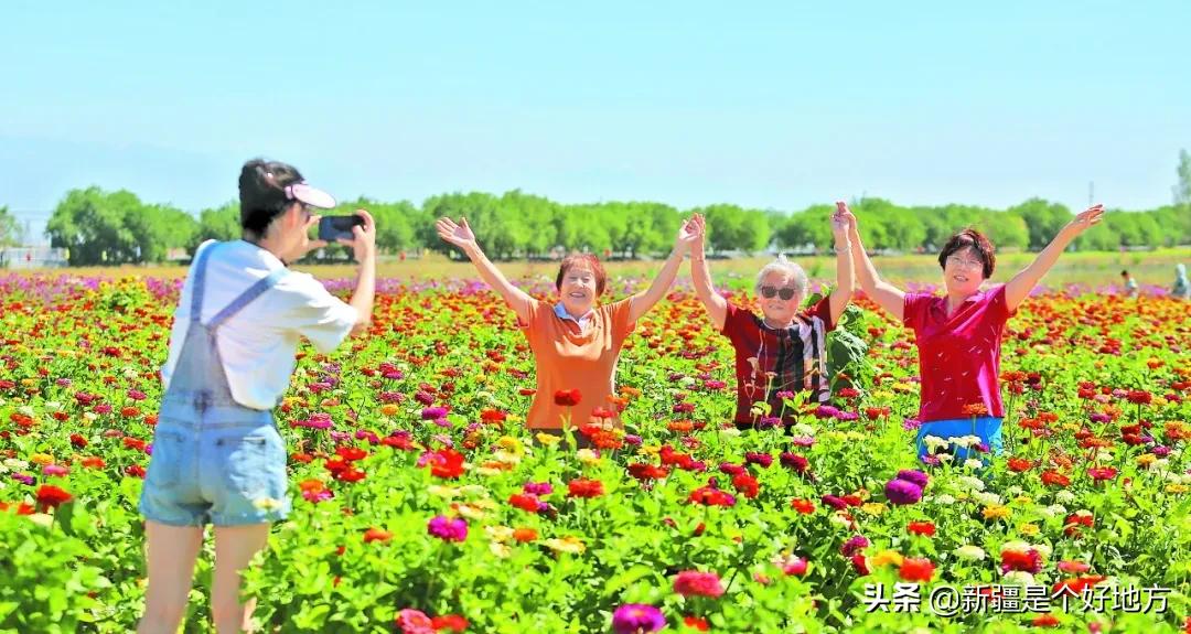 虞美人电视剧,古典美的绽放与当代情感的融合