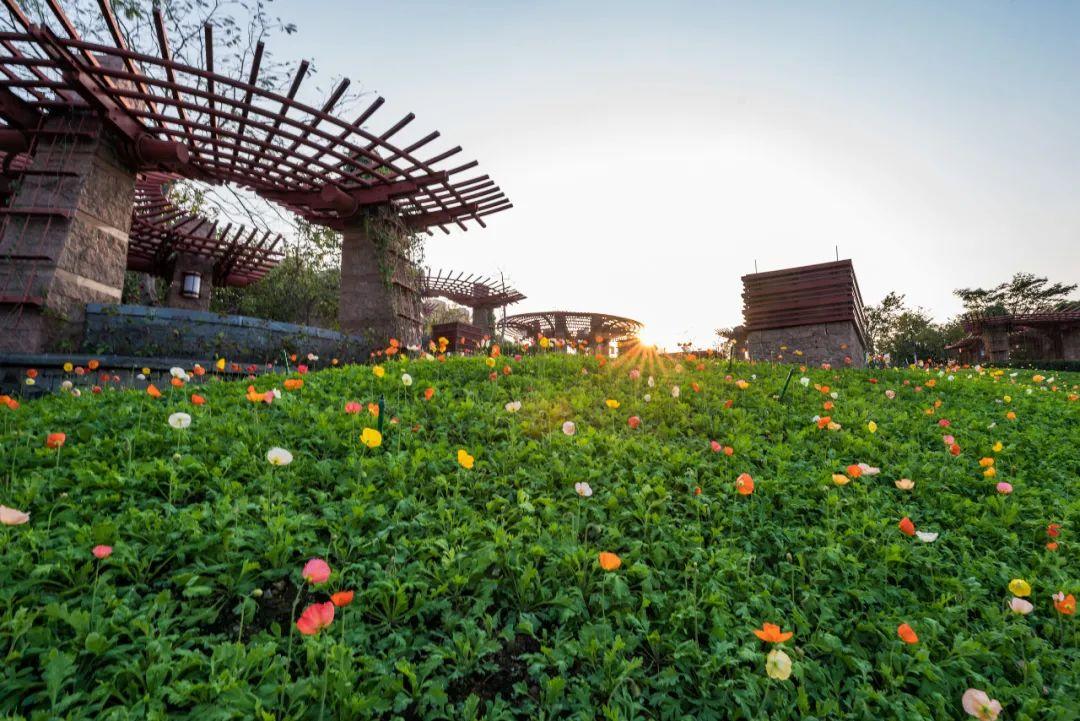 虞美人电视剧,古典美的绽放与当代情感的融合