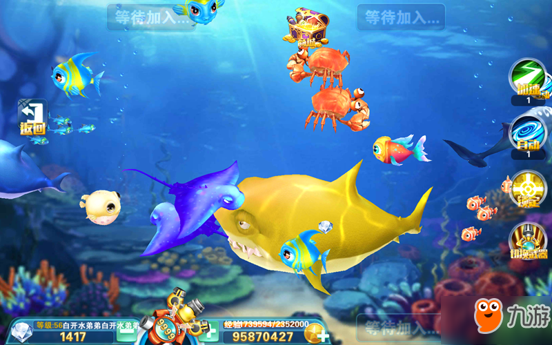 最新捕鱼网站使用指南,从入门到进阶