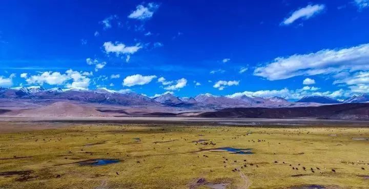 最新电影动作片,探索自然美景的治愈旅行,启程寻找内心的平和之地