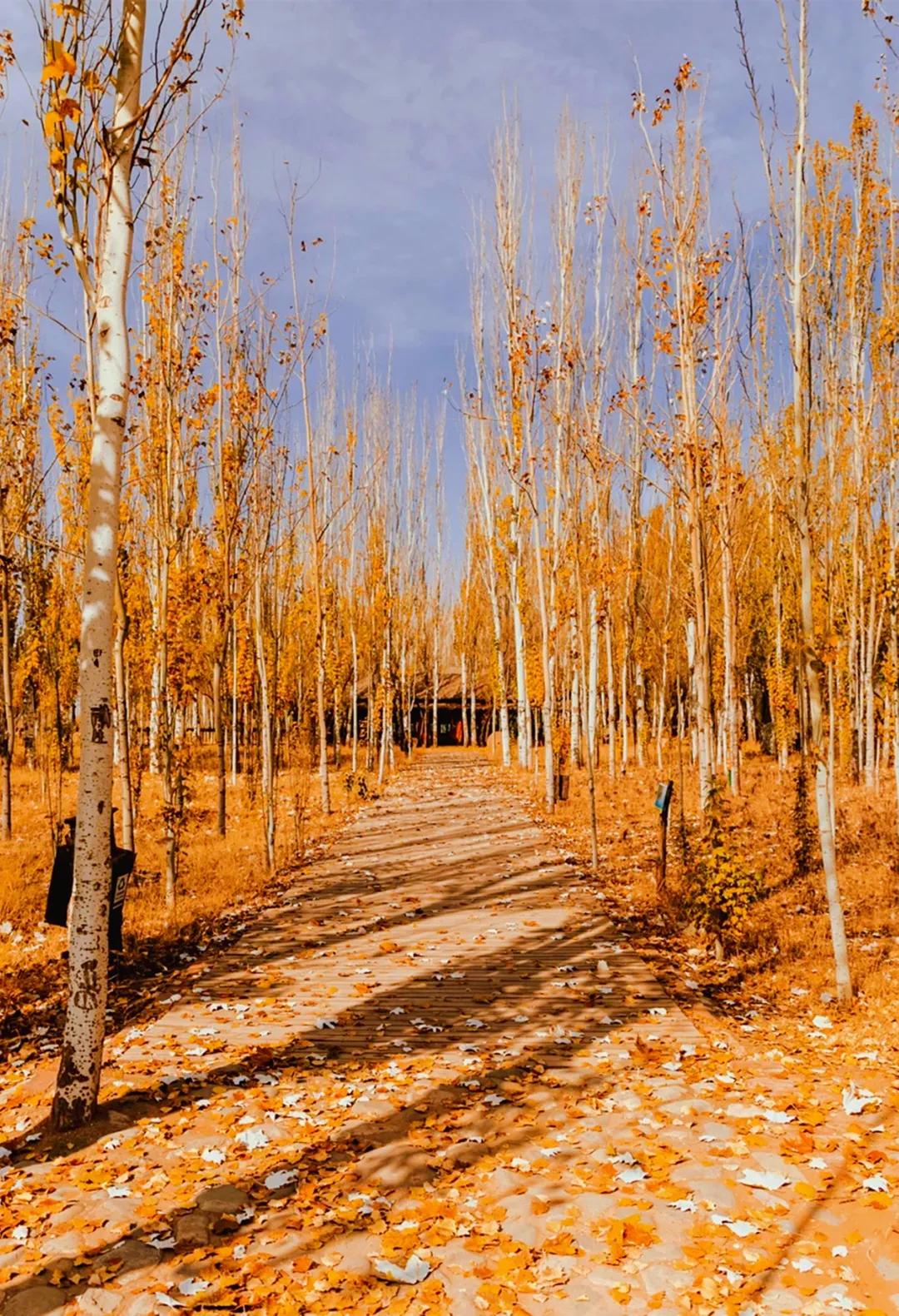 小红书推荐一起看电影的软件,享受影视盛宴!