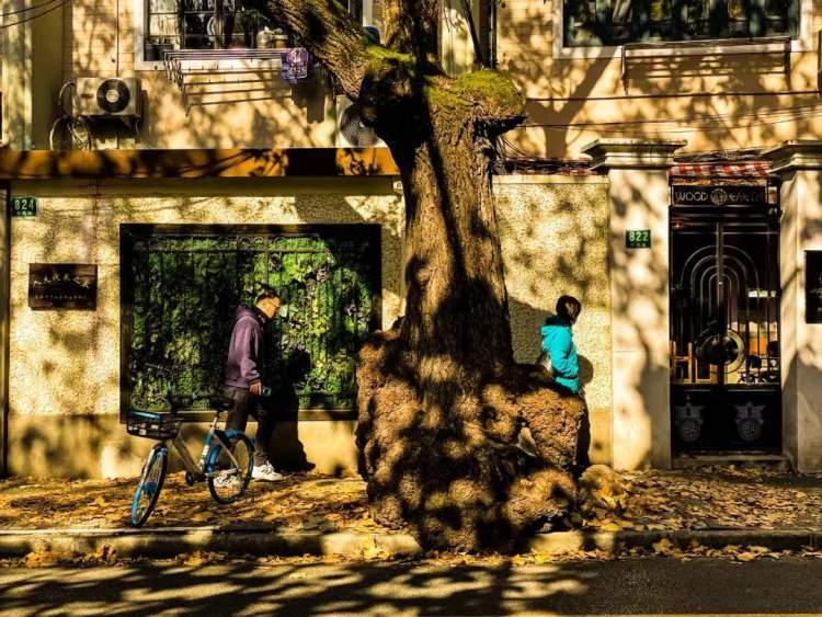 银杏新村最新房价公布,变化带来希望,学习铸就自信