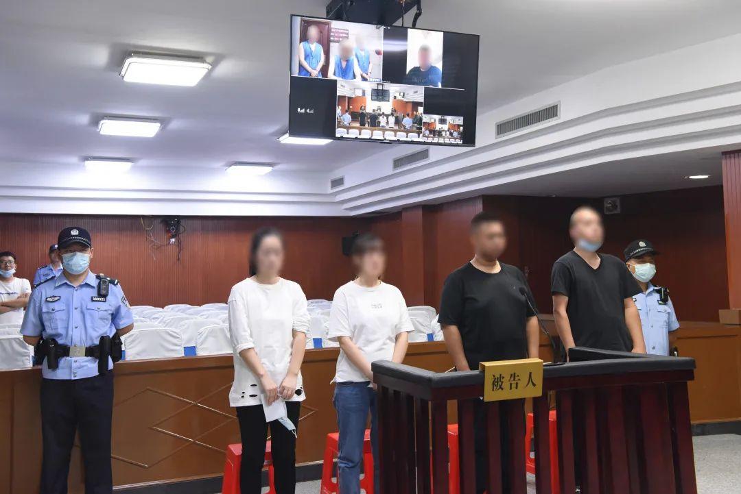 三板股票如何交易,一篇全面的指南