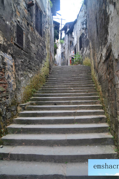 新型抗蝗技术,小巷深处的绿色守护者