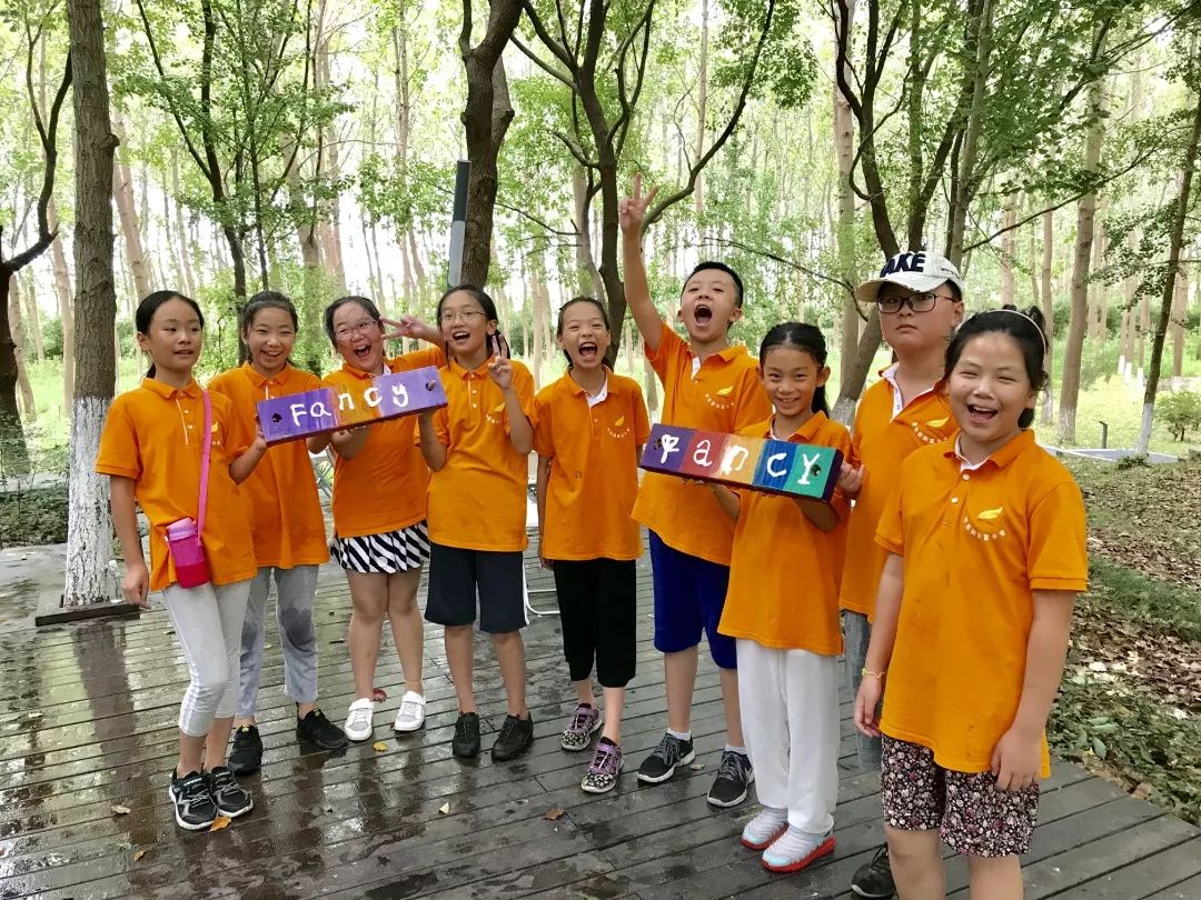 00254最新动态,变化中的学习之旅,自信与成就感的源泉