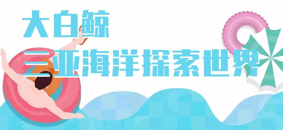 最新网站导航,探索知识海洋,自信成就梦想之旅