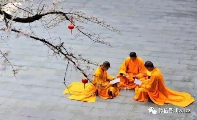 最新僧侣规范,塑造和谐佛教界的基石