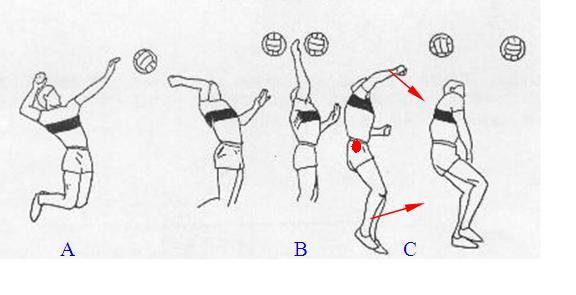 排球比赛发球区宽度,一次寻找内心平静的旅程