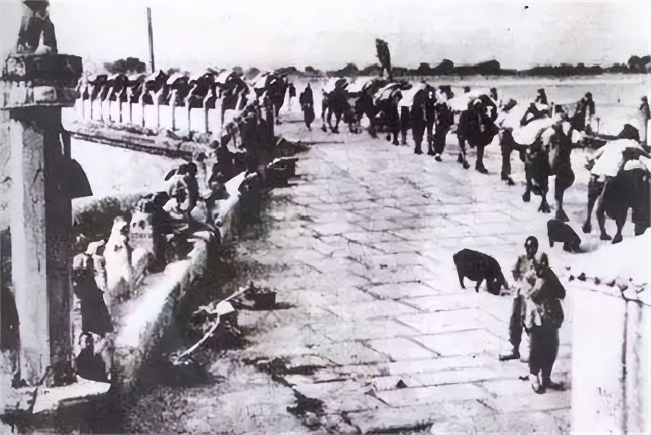 1949酒53度酒价格表,购买指南与步骤详解