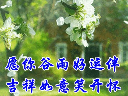 早晨问候精选,开启美好一天的三大要点