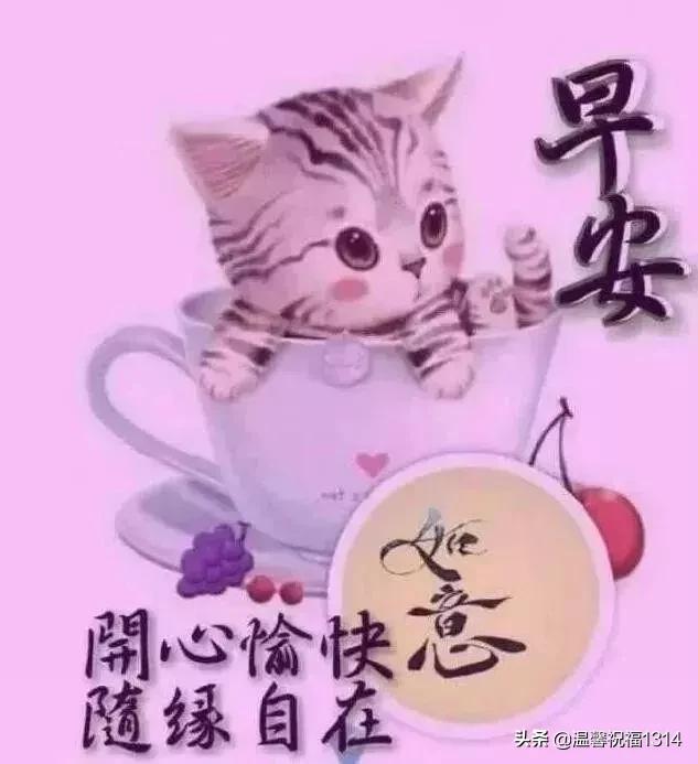 早晨问候精选,开启美好一天的三大要点