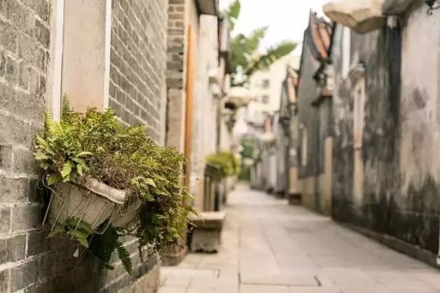 最新的黎巴嫩消息,小巷深处的独特风情——一家隐藏版特色小店的探索之旅