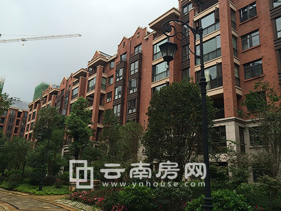 都铎城邦最新资讯