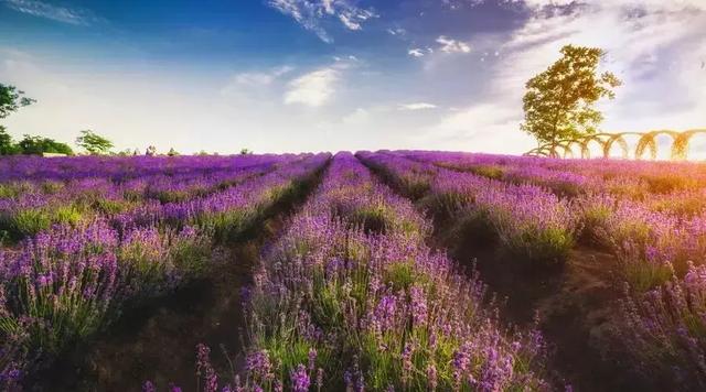 中星6BC 2017版参数介绍,一场与自然美景的亲密旅行