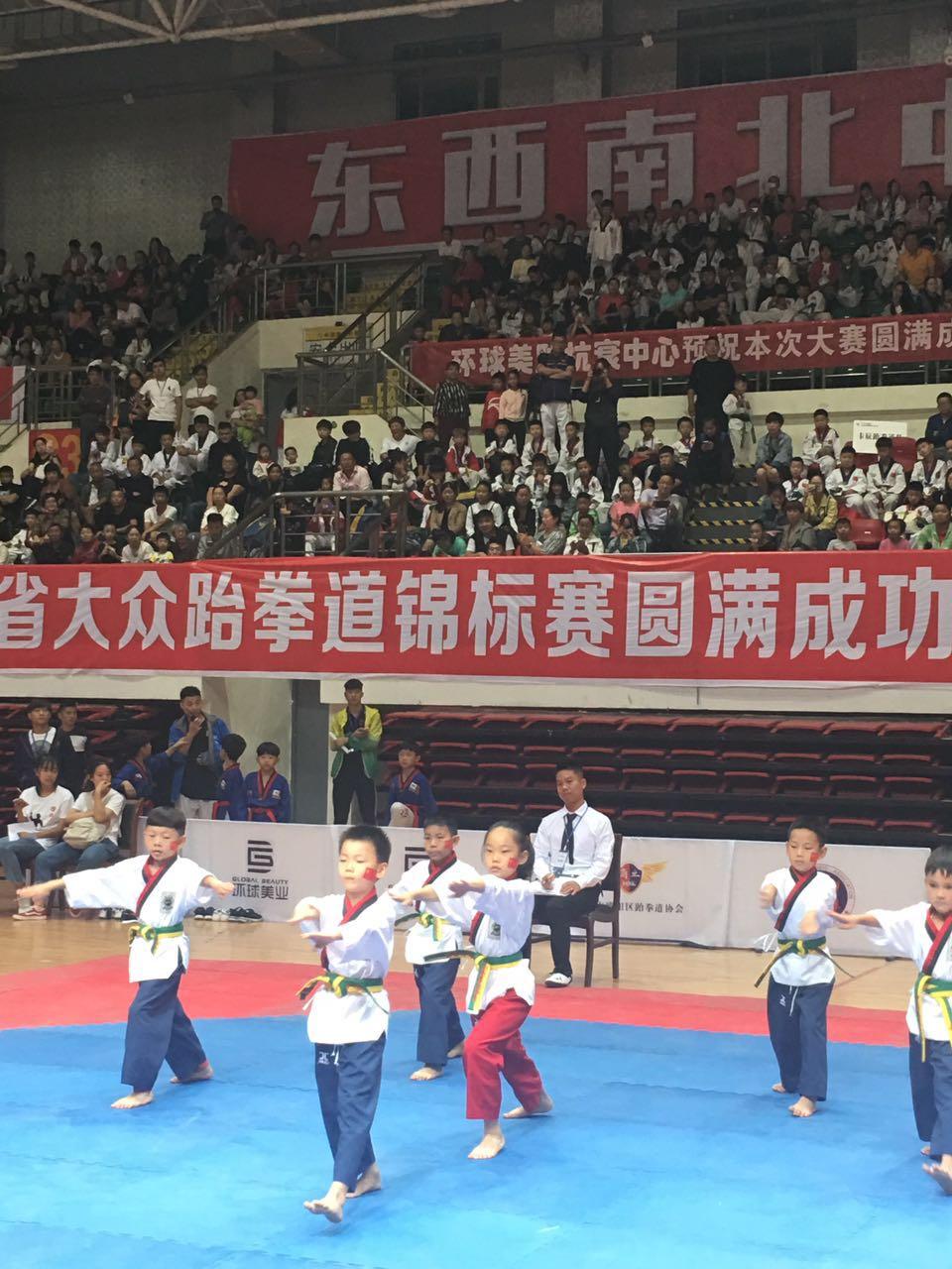 世界跆拳道比赛,技能学习与参赛步骤指南