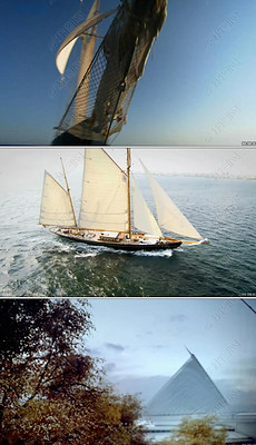 最新网络资讯,乘风破浪,我们在知识的海洋中共同成长