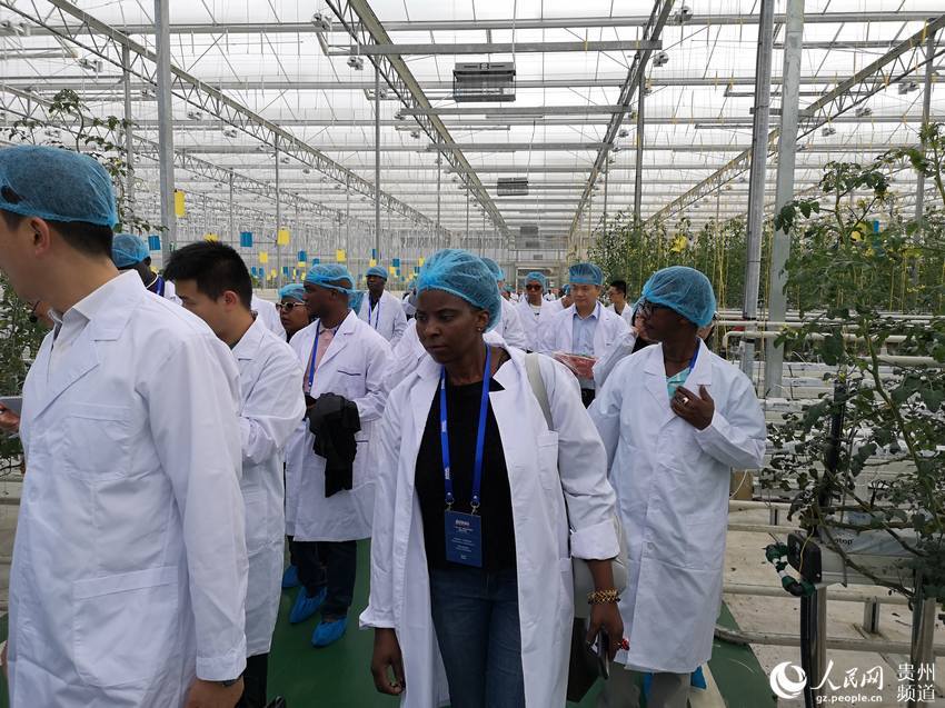 毕节日报最新资讯——聚焦当地热点事件与发展动态