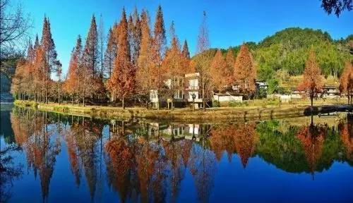 一龙最新的比赛,一场自然美景的旅行探索