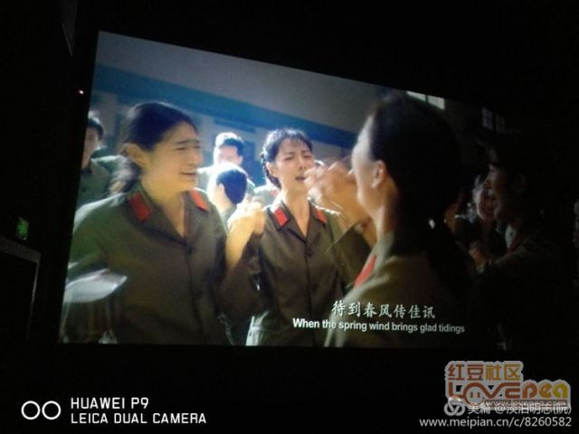 韩国电影网站在线播放,现象、争议与我的观点