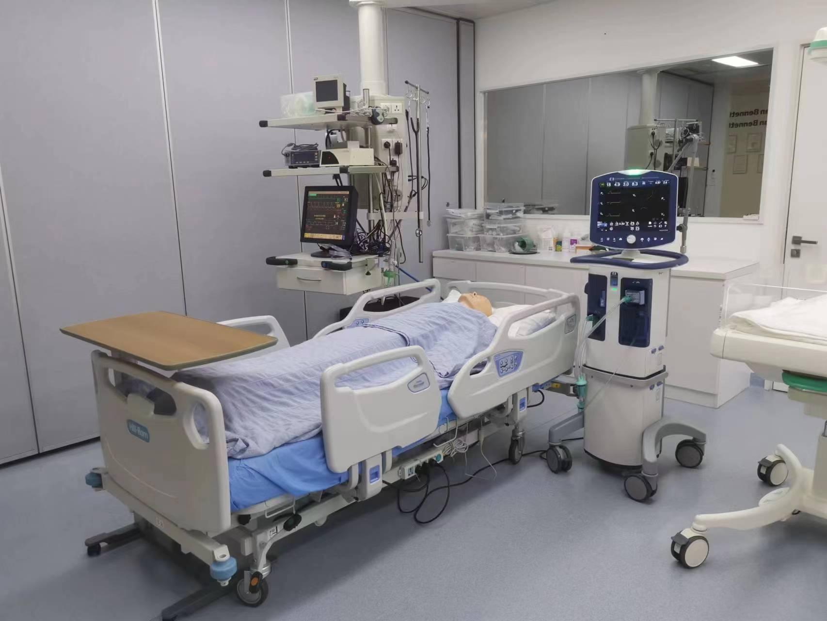 参考全球购资讯,跨国购物的最新趋势与热点分析