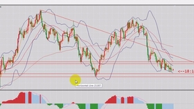 某日外汇市场行情如潮,激发无限潜能与机遇