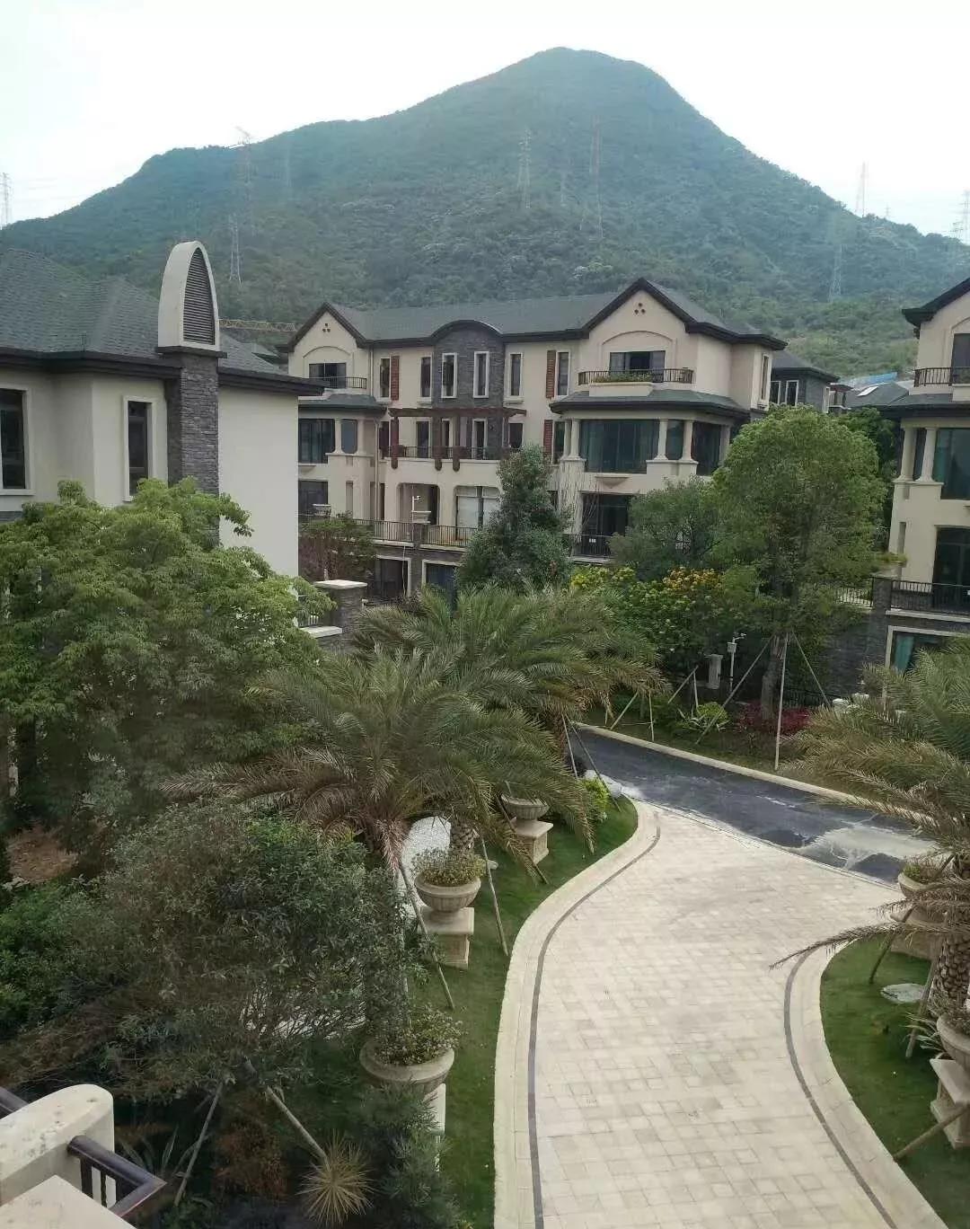 TXT最新周边详细步骤指南