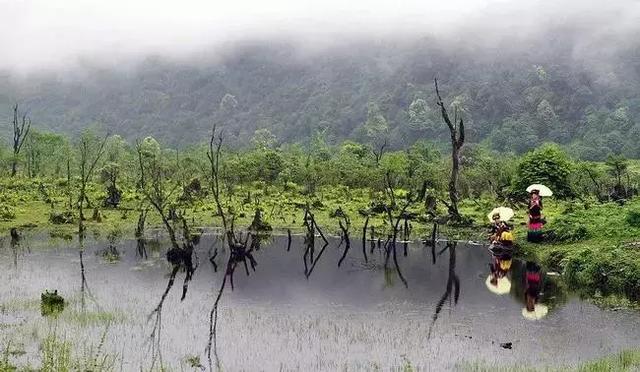 红色仕途最新章节,一场自然美景的探秘之旅,寻找内心的平和与喜悦