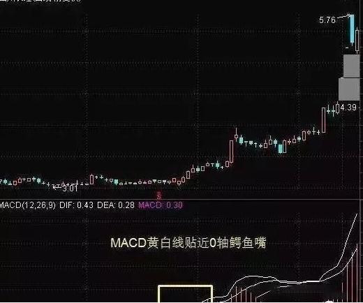 森远股份股票,回望其发展历程与地位