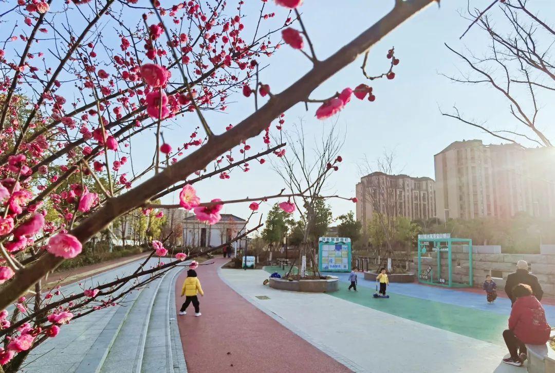 最新储备肉,科技重塑生活,未来美食触手可及