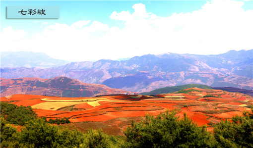 武钢防城港最新动态,一场探索自然美景的轻松之旅