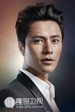 明星男中国,聚焦当代流行文化中的男性明星现象